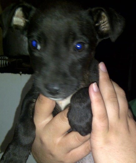 ciro con 1 mes y medio cuando lo encontraron abandonado en la calle